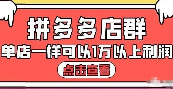 拼多多店群单店一样可以产出1万5以上利润【付费文章】-啦啦收录网