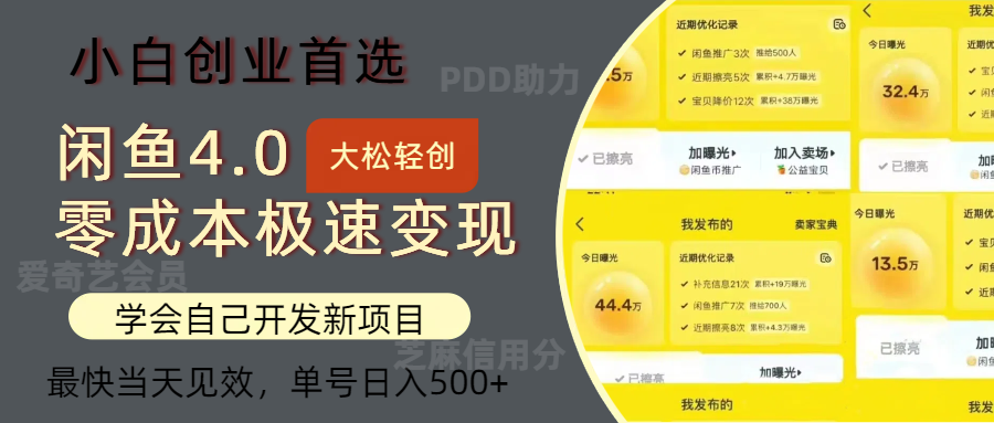 闲鱼0成本极速变现项目，多种变现方式，单号日入500+最新玩法-项目收录网