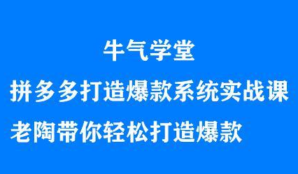 牛气学堂拼多多打造爆款系统实战课，老陶带你轻松打造爆款-项目收录网