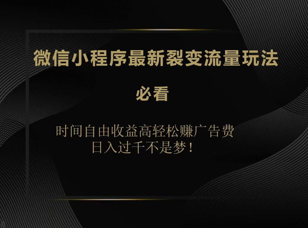 微信小程序最新裂变流量玩法，时间自由收益高轻松赚广告费，日入200-500+-啦啦收录网