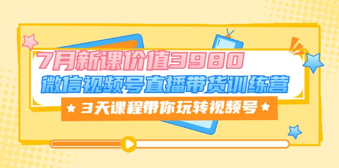 微信视频号直播带货训练营，3天课程带你玩转视频号：7月新课价值3980-项目收录网