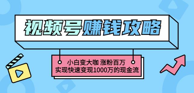 玩转微信视频号赚钱：小白变大咖涨粉百万实现快速变现1000万的现金流-项目收录网