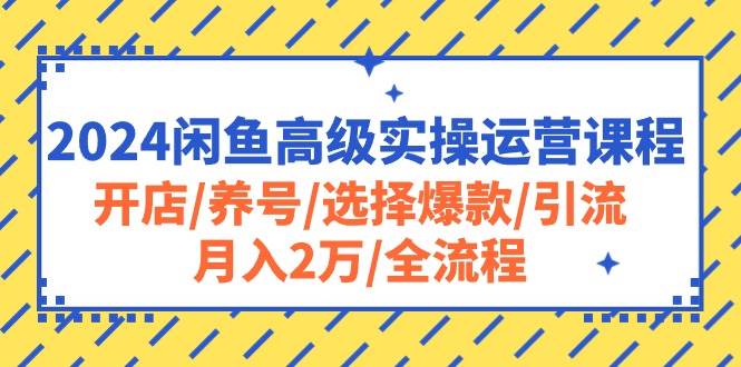 2024闲鱼高级实操运营课程：开店/养号/选择爆款/引流/月入2万/全流程-啦啦收录网