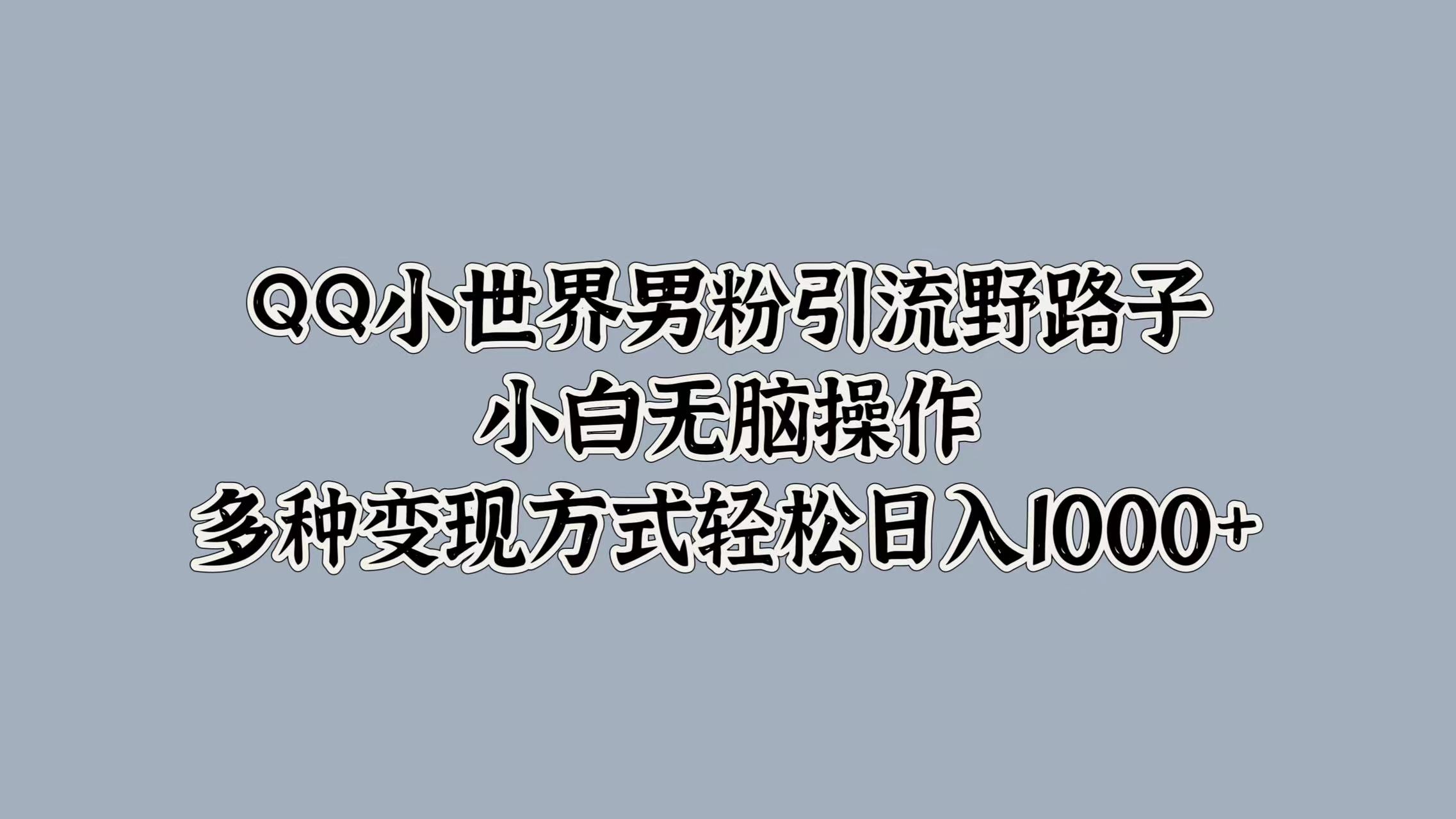 QQ小世界男粉引流野路子，小白无脑操作，多种变现方式轻松日入1000+-项目收录网