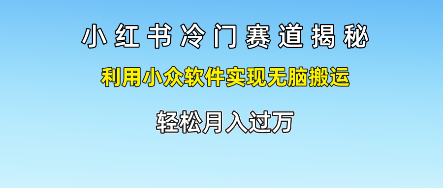 小红书冷门赛道揭秘,轻松月入过万，利用小众软件实现无脑搬运，-啦啦收录网