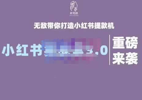 谢无敌·小红书实战营3.0，无敌带你打造小红书提款机 价值7999元-项目收录网