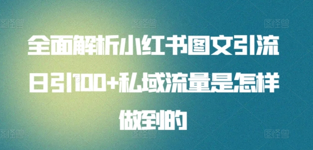 日引流100私域流量小红书图文是怎样做到的全面解析-项目收录网