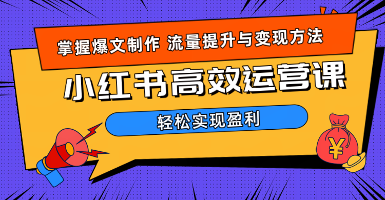 价值980小红书运营操作指南-啦啦收录网