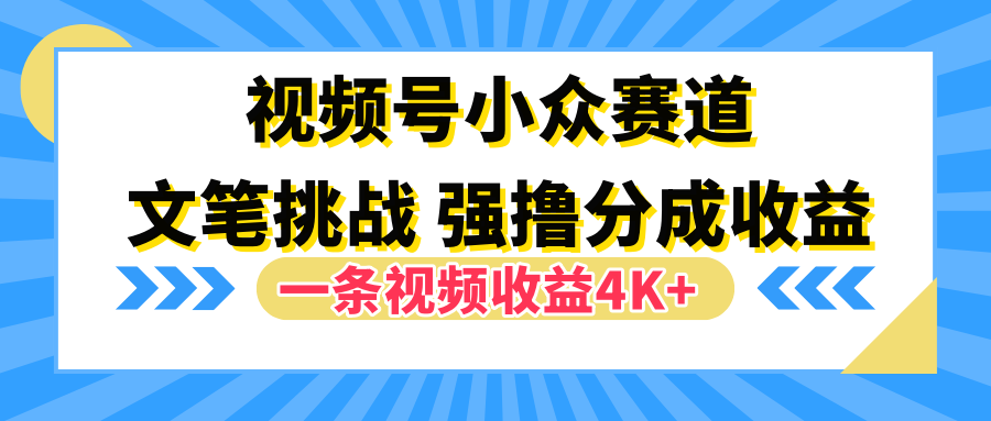 视频号小众赛道，文笔挑战，一条视频收益4K+-项目收录网