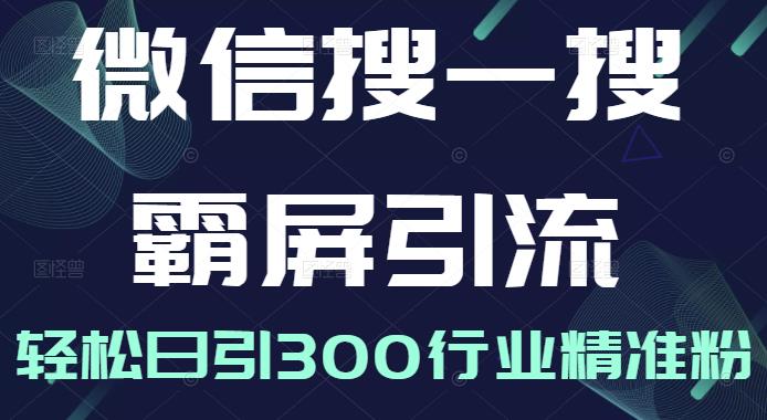 微信搜一搜霸屏引流课，打造被动精准引流系统，轻松日引300行业精准粉【无水印】-项目收录网