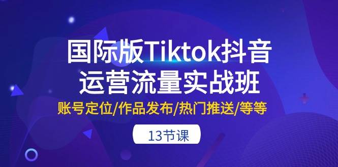 国际版Tiktok抖音运营流量实战班：账号定位/作品发布/热门推送/等等-13节-啦啦收录网