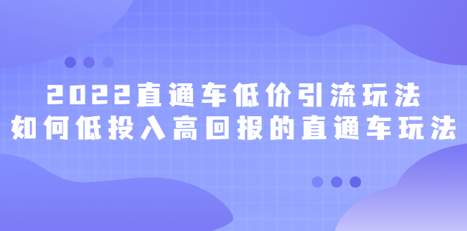 2022直通车低价引流玩法，教大家如何低投入高回报的直通车玩法-项目收录网