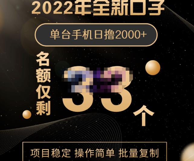 2022年全新口子，手机批量搬砖玩法，一部手机日撸2000+-项目收录网