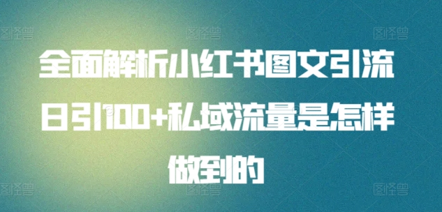 暴力引流 小红书图文引流日引100私域全面拆解【打粉人必看】-啦啦收录网