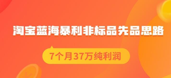 盗坤淘宝蓝海暴利非标品先品思路，7个月37万纯利润，压箱干货分享！【付费文章】-啦啦收录网