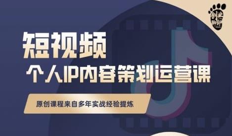 抖音短视频个人ip内容策划实操课，真正做到普通人也能实行落地-项目收录网