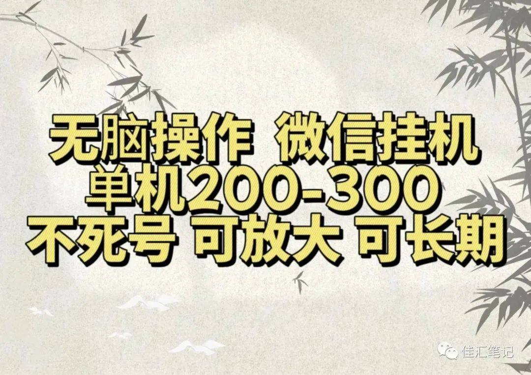 无脑操作微信视频号挂机单机200-300一天，不死号，可放大，工作室实测-项目收录网