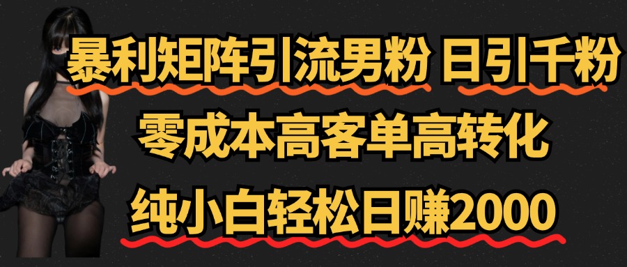 暴利矩阵引流男粉（日引千粉），零成本高客单高转化，纯小白轻松日赚2000+-项目收录网