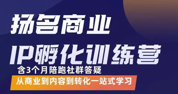 杨名商业IP孵化训练营，从商业到内容到转化一站式学 价值5980元-项目收录网