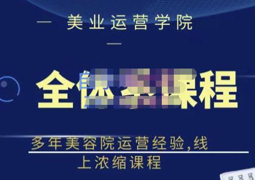 网红美容院全套营销落地课程，多年美容院运营经验，线上浓缩课程-项目收录网