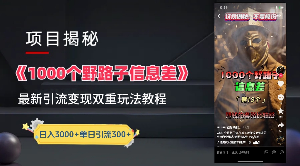 一千个野路子信息差24年最新玩法教程附带变现方法和引流的玩法具体拆解-项目收录网