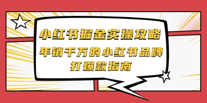 小红书掘金实操攻略，年销千万的小红书品牌打爆款指南-啦啦收录网