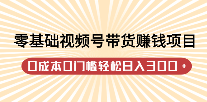 零基础视频号带货赚钱项目，0成本0门槛轻松日入300+【视频教程】-项目收录网