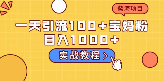 一天引流100+宝妈粉，日入1000+的蓝海项目（实战教程）-啦啦收录网