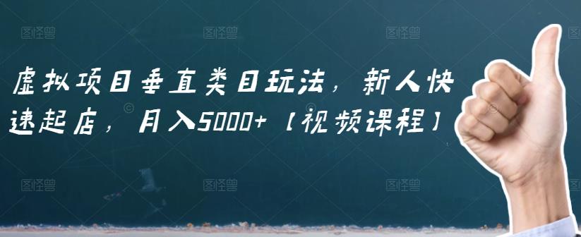 虚拟项目垂直类目玩法，新人快速起店，月入5000+【视频课程】-项目收录网