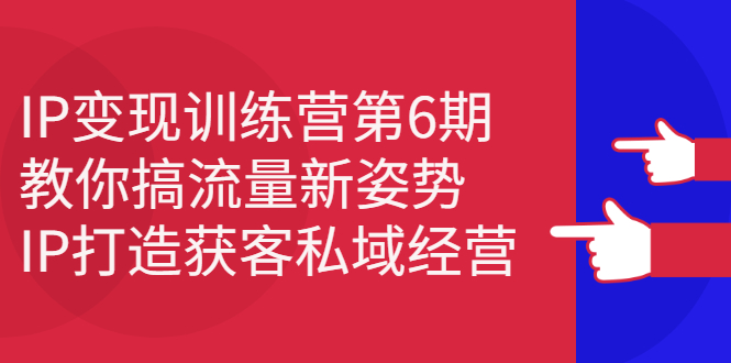 IP变现训练营第6期：教你搞流量新姿势，IP打造获客私域经营-项目收录网