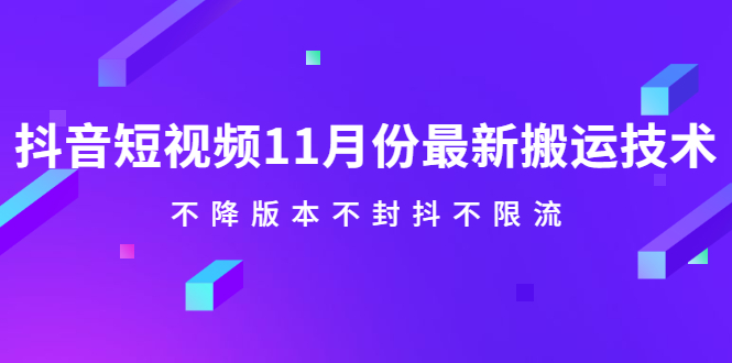 抖音短视频11月份最新搬运技术，不降版本不封抖不限流！【视频课程】-项目收录网