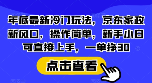 年底最新冷门玩法，京东家政新风口，操作简单，新手小白可直接上手，一单挣30【揭秘】-啦啦收录网