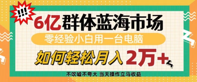 6亿群体蓝海市场，零经验小白用一台电脑，如何轻松月入过w【揭秘】-啦啦收录网