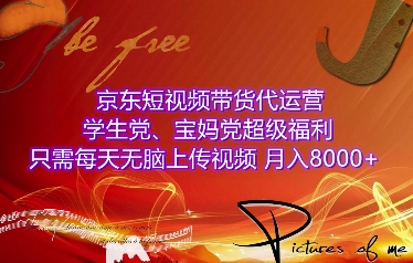 京东短视频带货代运营，学生党、宝妈党超级福利，只需每天无脑上传视频，月入8000+【仅揭秘】-啦啦收录网