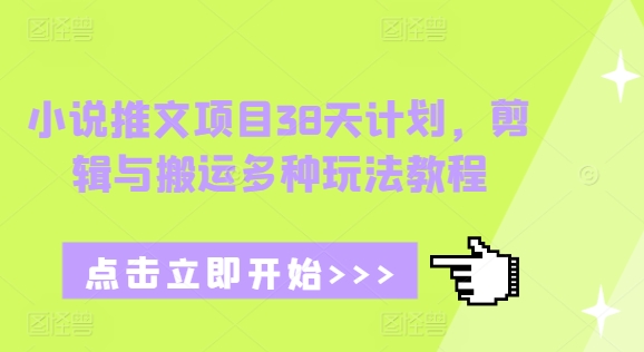 小说推文项目38天计划，剪辑与搬运多种玩法教程-啦啦收录网