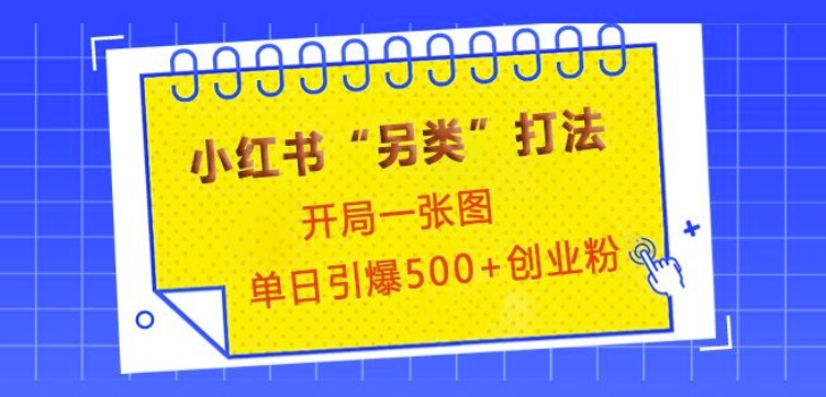 小红书“另类”打法，开局一张图，单日引爆500+精准创业粉【揭秘】-啦啦收录网