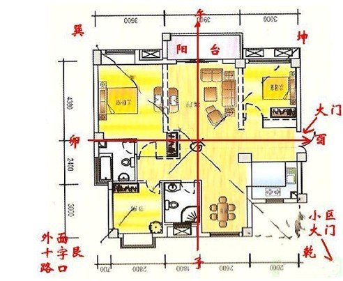 风水学解读：木瓜树是凶木吗？家居摆放的宜忌与化解方法