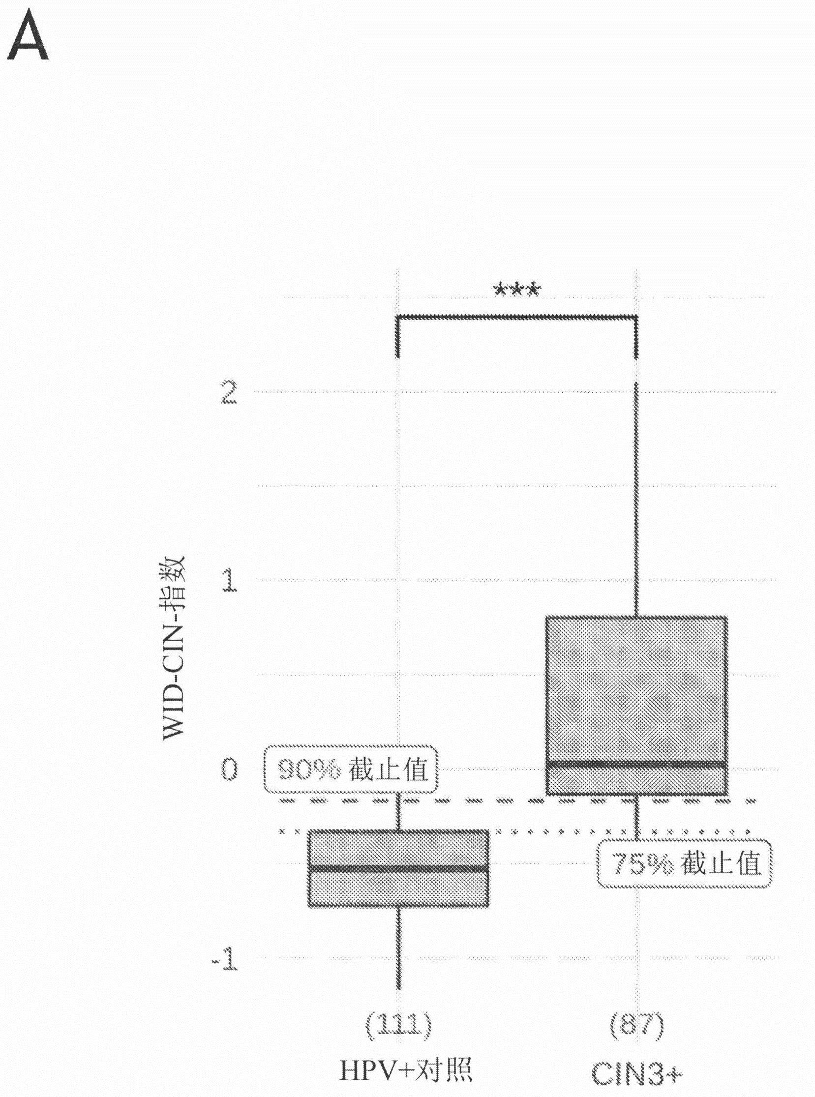 上皮内瘤变与异型增生