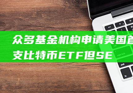 众多基金机构申请美国首支比特币ETF但SE