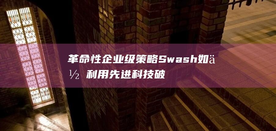 革命性企业级策略 Swash如何利用先进科技破解传统数据壁垒