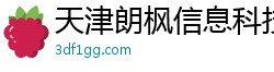 天津朗枫信息科技有限公司