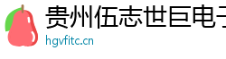 贵州伍志世巨电子科技有限公司