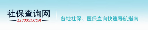 12333社保查询-医保社保卡个人账户网上查询