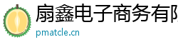 扇鑫电子商务有限公司