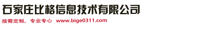 石家庄比格信息技术有限公司