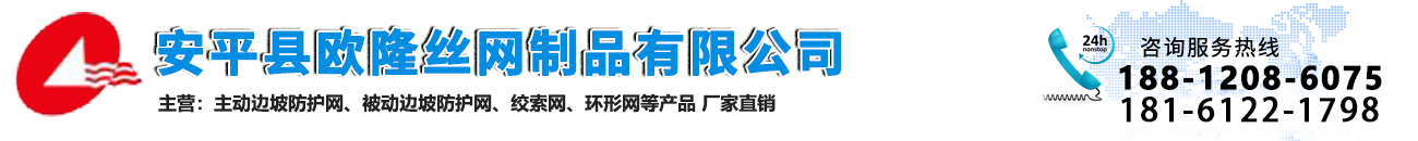 绞索网,环形网,护坡网,钛克网,sns柔性防护网,被动边坡防护网-安平县欧隆丝网制品有限公司