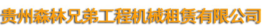 贵州轮式挖掘机/长臂挖掘机出租_沥青碎石同步封尘机-贵州森林轮挖工程机械租赁有限公司