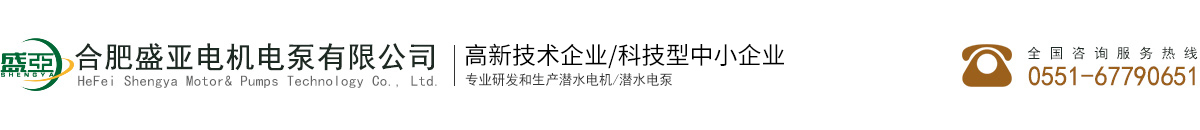 合肥盛亚电机电泵有限公司,潜水电机,潜水电泵,污水泵