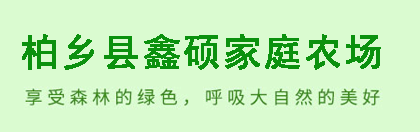 河北省石家庄市栾城区草坪种植基地_柏乡县鑫硕家庭农场_四季青_早熟禾_高羊茅_剪股颖_各种草坪草皮价格