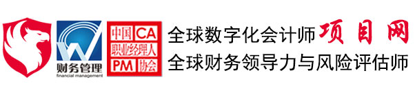 全球数字化会计师-全球财务领导力与风险评估师项目网